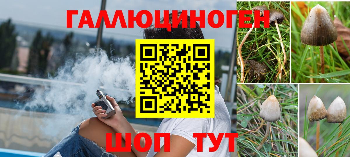 Псилоцибиновые грибы ЛСД  даркнет сайт  Балашиха  Вход с VPN 